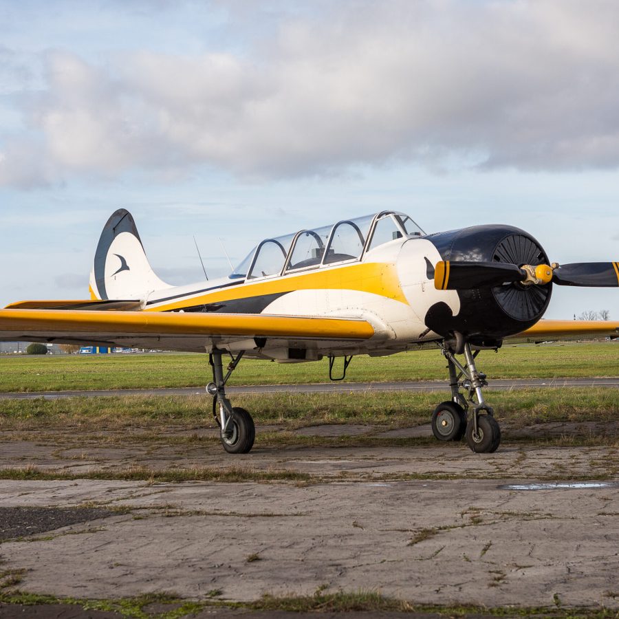 LY-KOS1